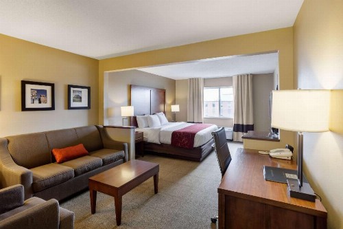 Comfort Suites University - image 27