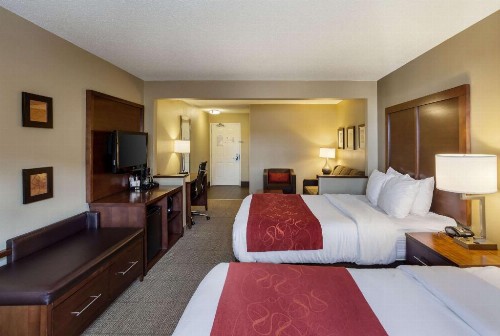 Comfort Suites University - image 30