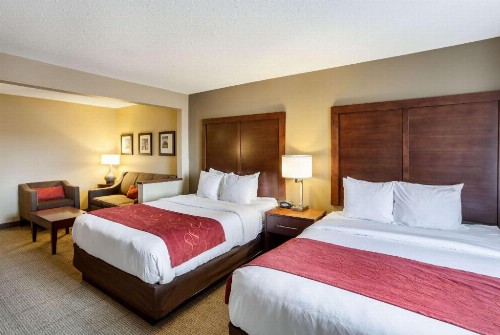 Comfort Suites University - image 32
