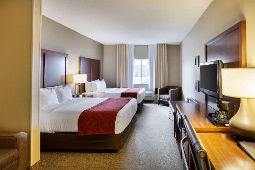 Comfort Suites University - image 33