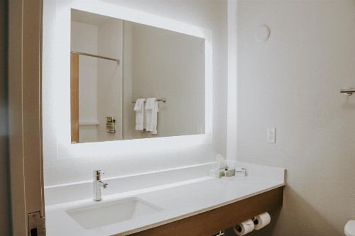 Holiday Inn Express Hotel & Suites Lincoln South an IHG Hotel - image 28