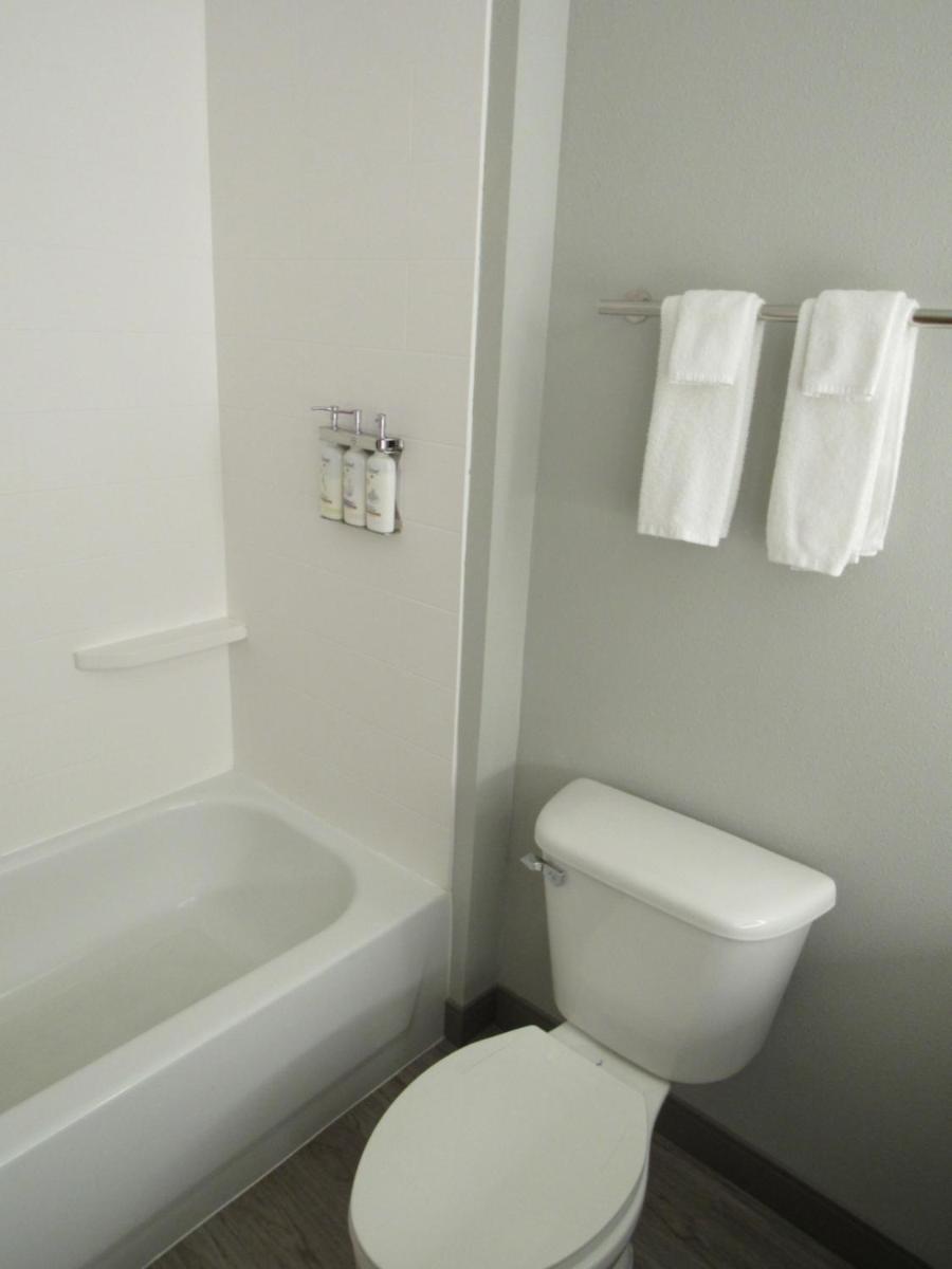 Holiday Inn Express Hotel & Suites Lincoln South an IHG Hotel - image 4