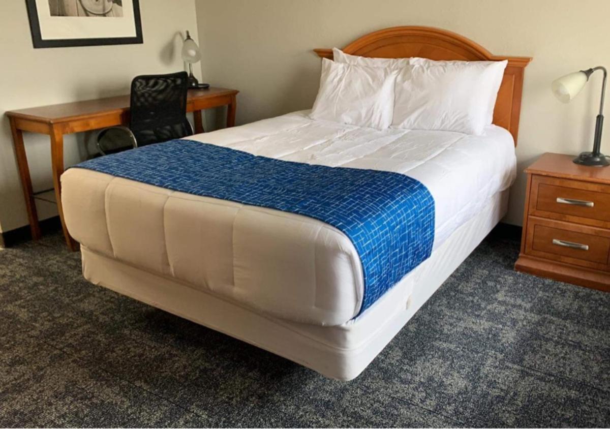 Oasis Inn & Suites - image 5
