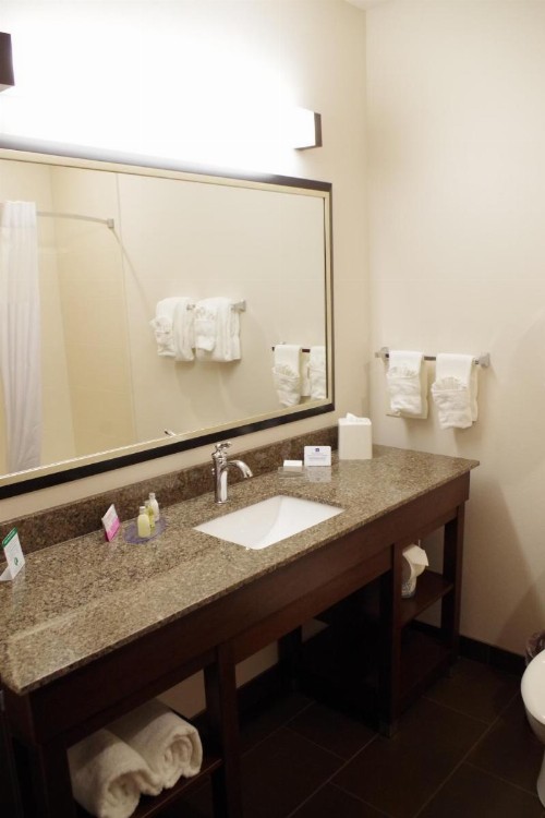 Best Western Plus Lincoln Inn & Suites - image 5