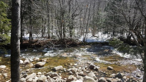 Franconia Notch Motel - image 36