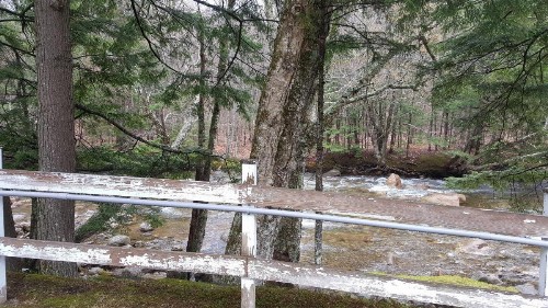 Franconia Notch Motel - image 38