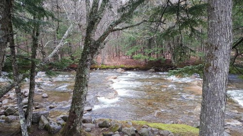 Franconia Notch Motel - image 4