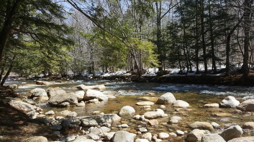 Franconia Notch Motel - image 44