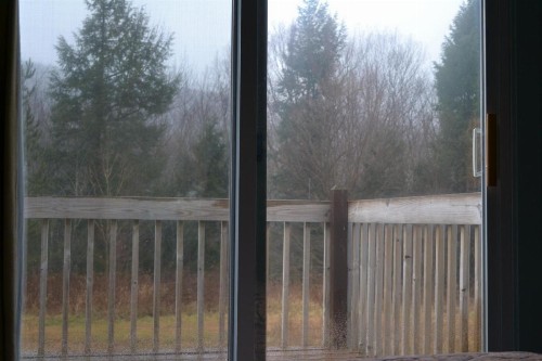 Parker's Motel - image 21