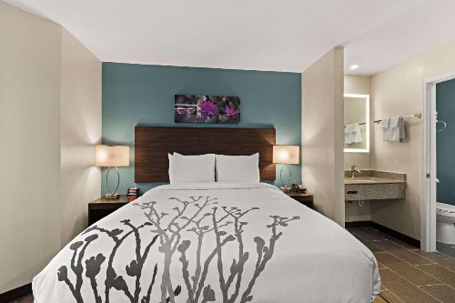 Red Roof Inn Atlanta East - Lithonia - image 23