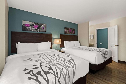 Red Roof Inn Atlanta East - Lithonia - image 3
