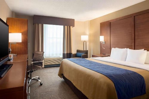 Comfort Inn & Suites Presidential - image 15