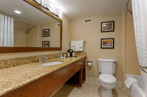 Comfort Inn & Suites Presidential - image 18