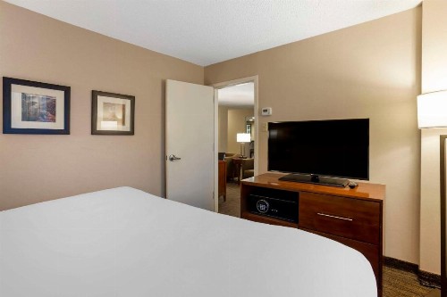 Comfort Inn & Suites Presidential - image 2