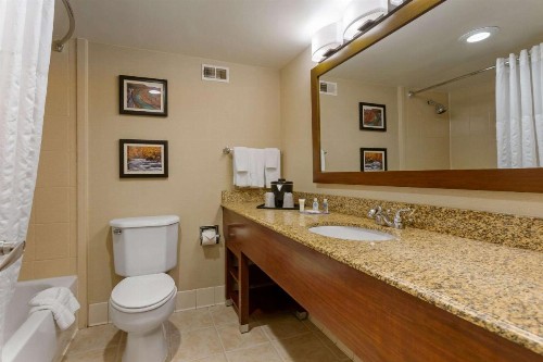 Comfort Inn & Suites Presidential - image 20