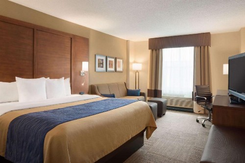 Comfort Inn & Suites Presidential - image 33