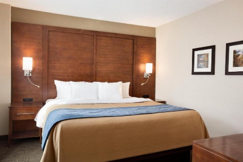 Comfort Inn & Suites Presidential - image 38