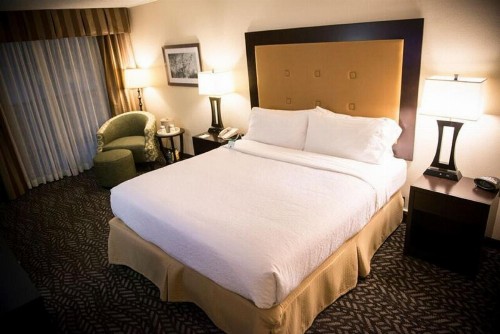Holiday Inn Little Rock-Airport-Conference Center an IHG Hotel - image 33