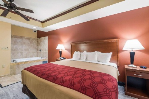 Econo Lodge Inn And Suites Little Rock - image 12