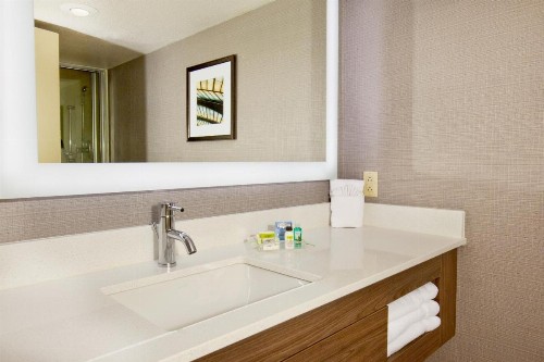 Holiday Inn Little Rock - Presidential Downtown an IHG Hotel - image 13