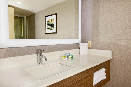 Holiday Inn Little Rock - Presidential Downtown an IHG Hotel - image 41