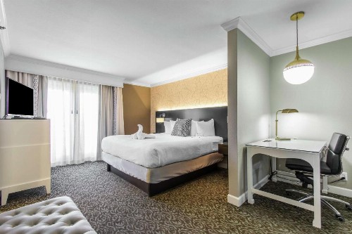 The Burgundy Hotel Tapestry Collection by Hilton - image 29