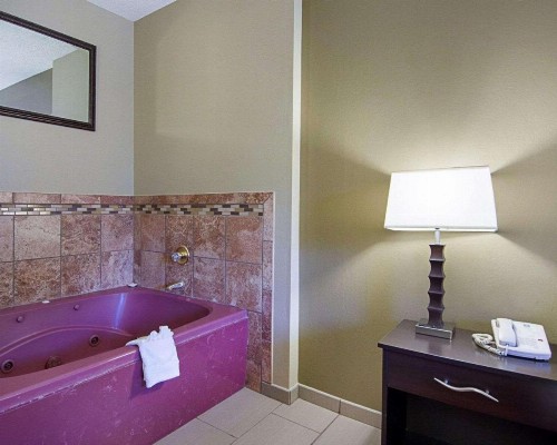 Quality Inn & Suites West - image 19