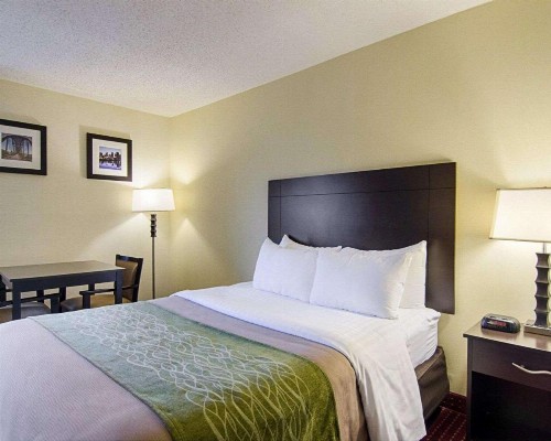 Quality Inn & Suites West - image 22