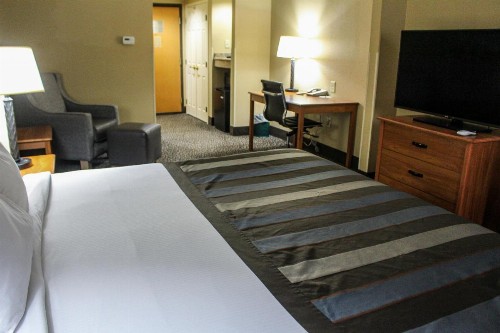 Wingate by Wyndham Little Rock - image 27