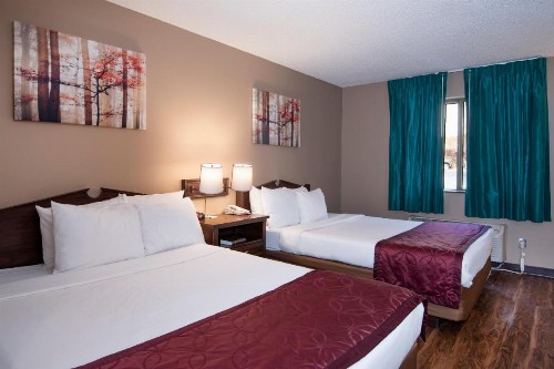 Guest Inn & Suites - Midtown Medical Center - image 20