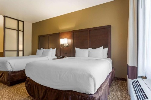 Comfort Suites Little Rock - image 14