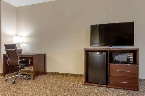 Comfort Suites Little Rock - image 24