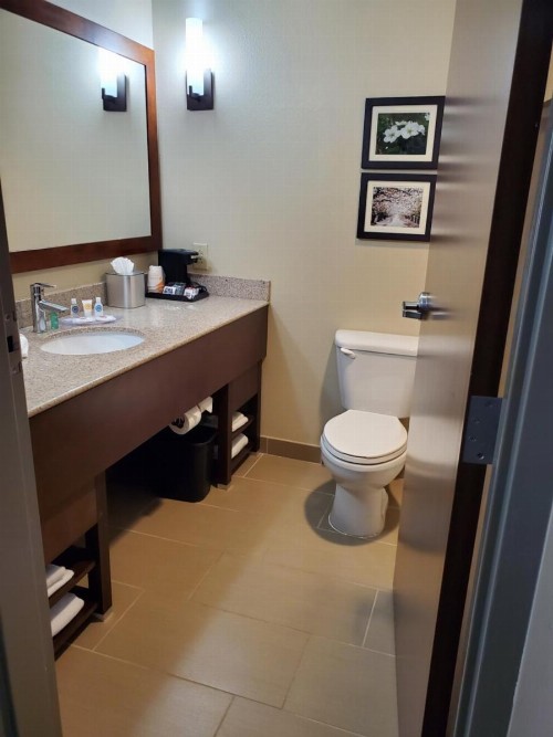 Comfort Suites Little Rock - image 28