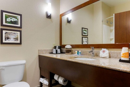 Comfort Suites Little Rock - image 37
