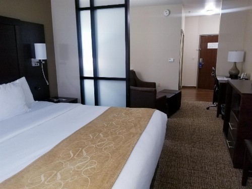Comfort Suites Little Rock - image 41