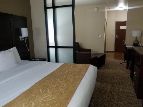 Comfort Suites Little Rock - image 44