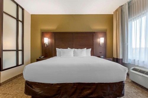 Comfort Suites Little Rock - image 9