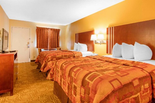 Motel 6-Little Rock AR - Airport - image 10