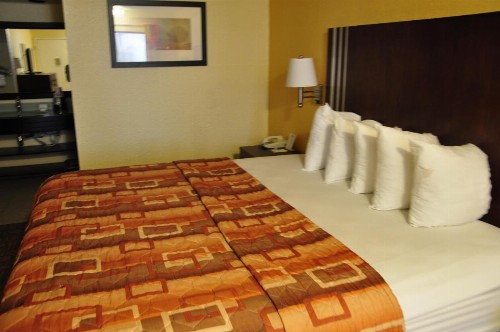 Motel 6-Little Rock AR - Airport - image 26