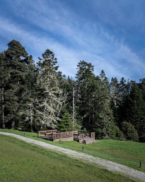 Inn at Schoolhouse Creek - image 22