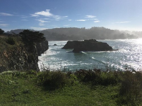 Mendocino Grove - image 13