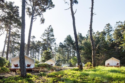 Mendocino Grove - image 2