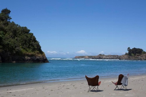 Mendocino Grove - image 4