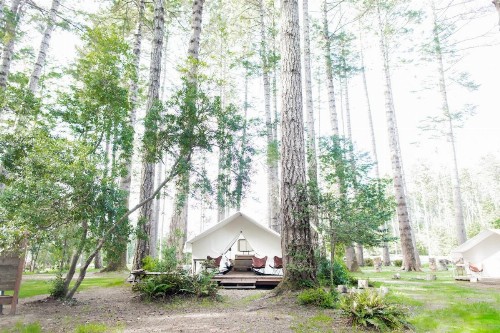 Mendocino Grove - image 7