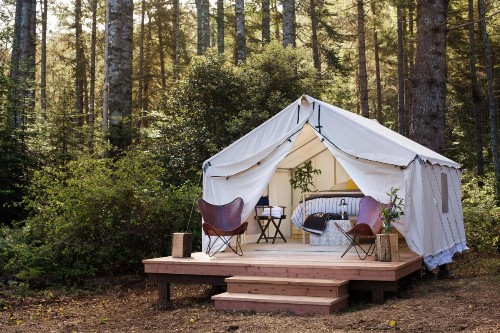 Mendocino Grove - image 9