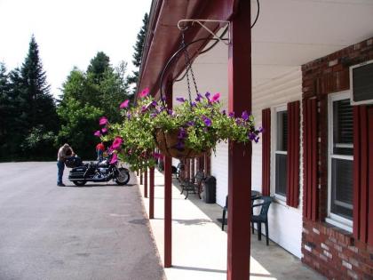 Maple Leaf Motel - image 10
