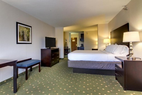Holiday Inn Express Hotel & Suites Live Oak an IHG Hotel - image 7