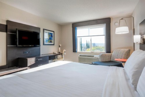 Holiday Inn Express Hotel & Suites Livermore an IHG Hotel - image 16