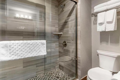 Best Western Plus Vineyard Inn - image 48