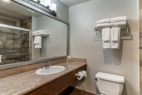 Best Western Plus Vineyard Inn - image 49